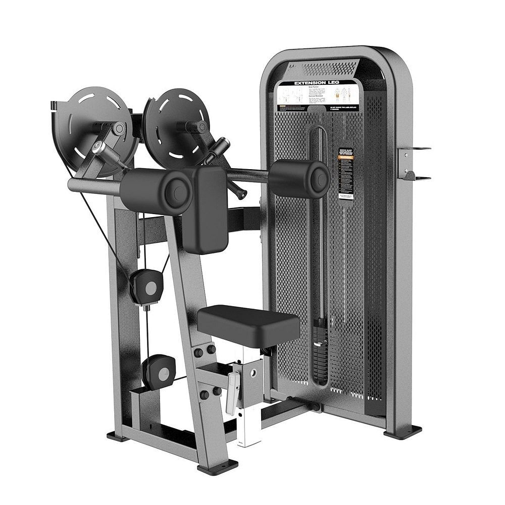 VIVA Gym Lateral Raise Machine