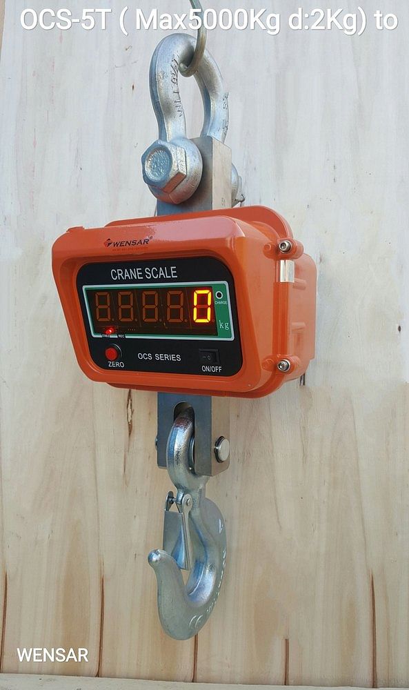 WENSAR Stainless Steel Electronic Crane Scale, Capacity Tons: 5TON, Size: 5,10TON