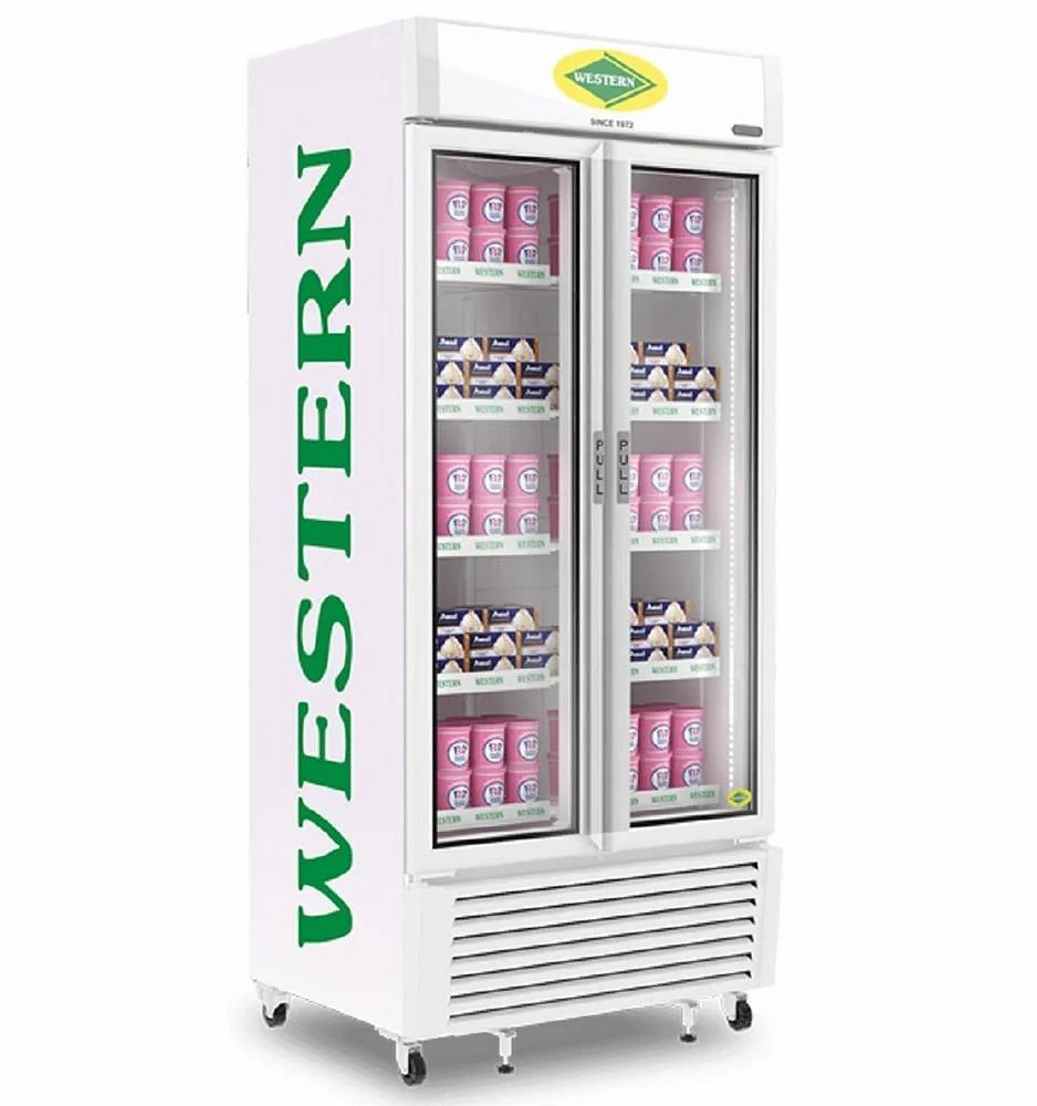 Western Visi Freezers, 37 L