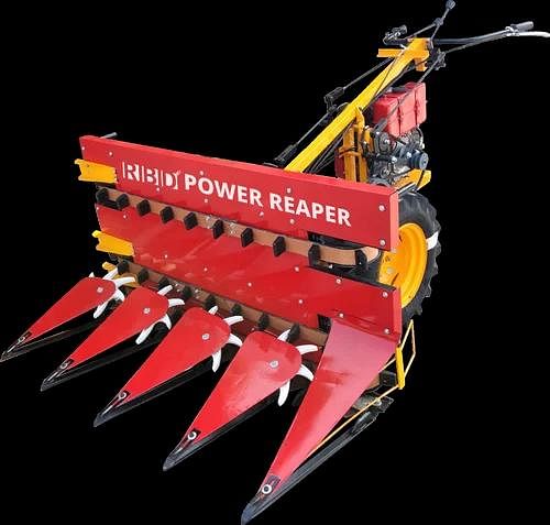 Wheat Honda Power Reaper, Power: 5, Model Name/Number: RBD-2FD