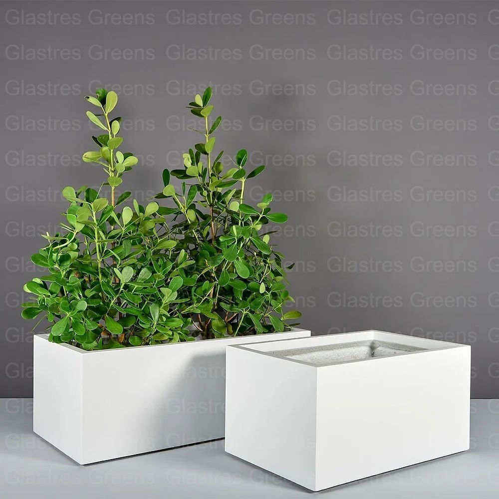 White Rectangular Frp Fiberglass Planters, 7 inch