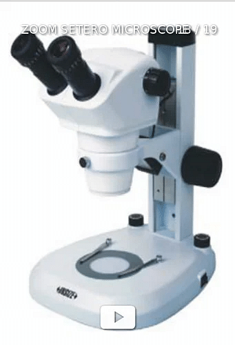 Zoom Setero Microscope