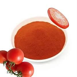 Pure Dried tomato powder